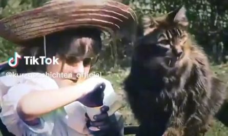 The first ever cat video, may 1900s