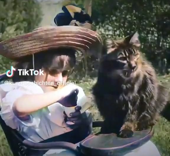 The first ever cat video, may 1900s