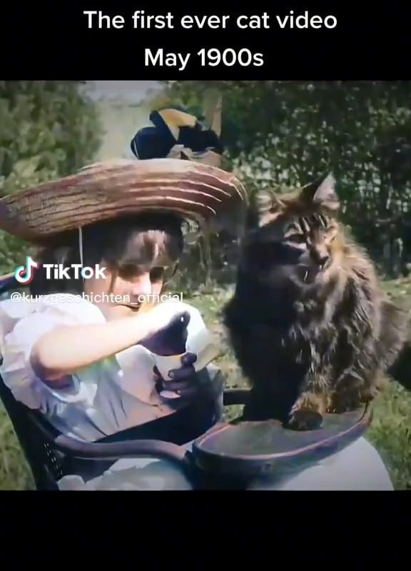The first ever cat video, may 1900s