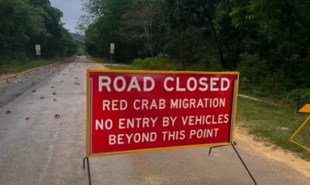 The great red crab migration