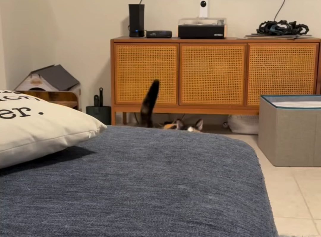 The leaning tower Churu