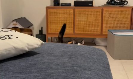 The leaning tower Churu