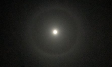 The moon with a weird halo thingy (there's probably an actual explanation and scientific name for this) (not camera lens weirdness as I can see it with my naked eye too) Bristol, UK.