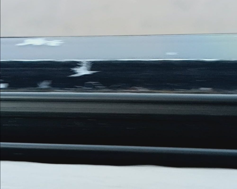 The most snowflake-looking snowflakes I've ever seen.