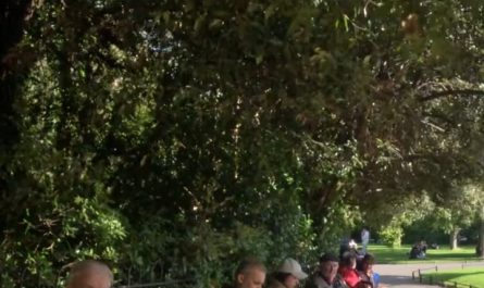 The pictures. The conversation. It’s perfection.