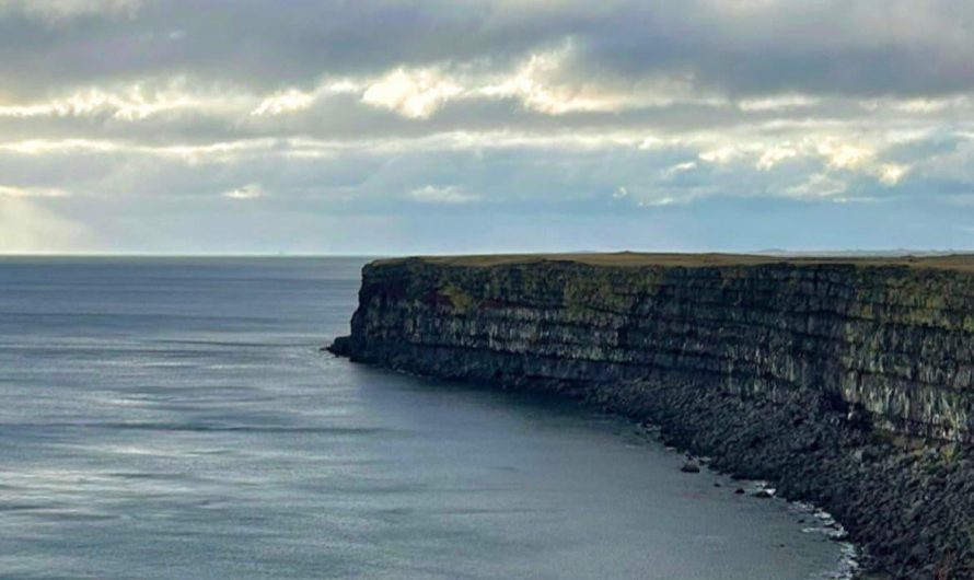 The sea and the cliff create a straight line in the center of the photo