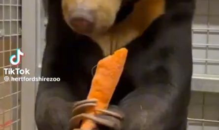 The snap after her second bite