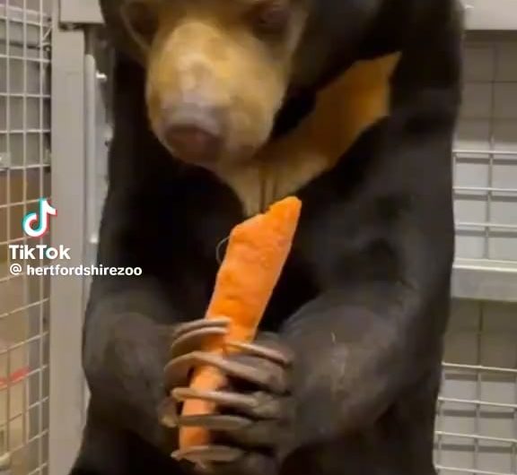 The snap after her second bite