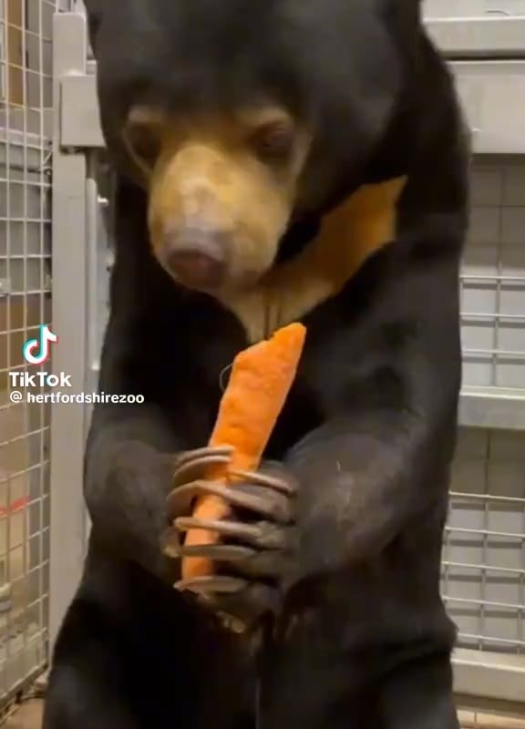 The snap after her second bite