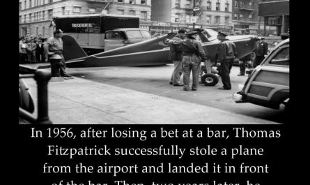 The ultimate "hold my beer" moment