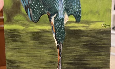 The water was a challenge for my partner and I but I think it turned out satisfying!