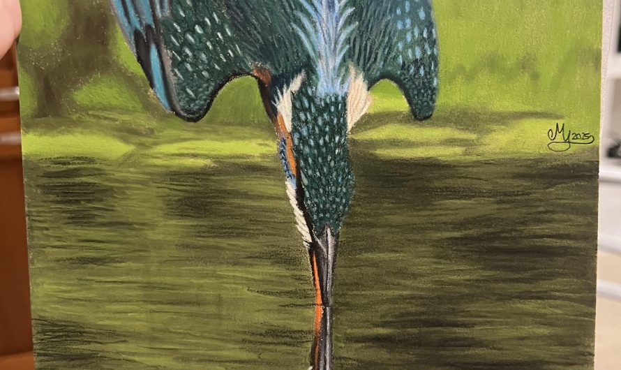 The water was a challenge for my partner and I but I think it turned out satisfying!