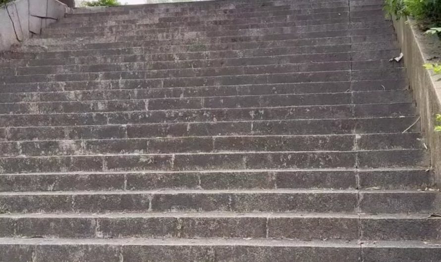 The way he just flows down the steps..