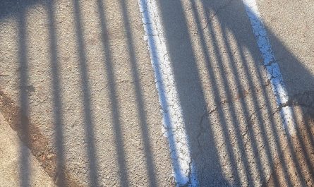 The way these shadows and paint lines match up