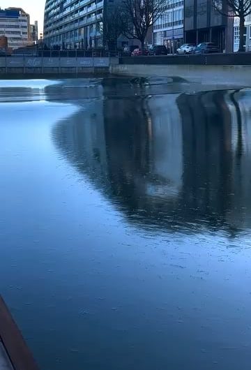 Thin sheet of ice in a wave pool