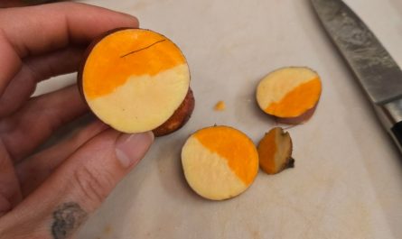 This Sweet Potato I Cut Last Night