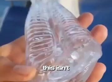 This animal can save the planet