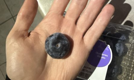 This blueberry is 1" wide