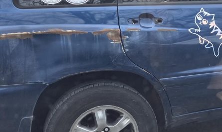 This car has a huge scratch, so the owner added an angry cat sticker.