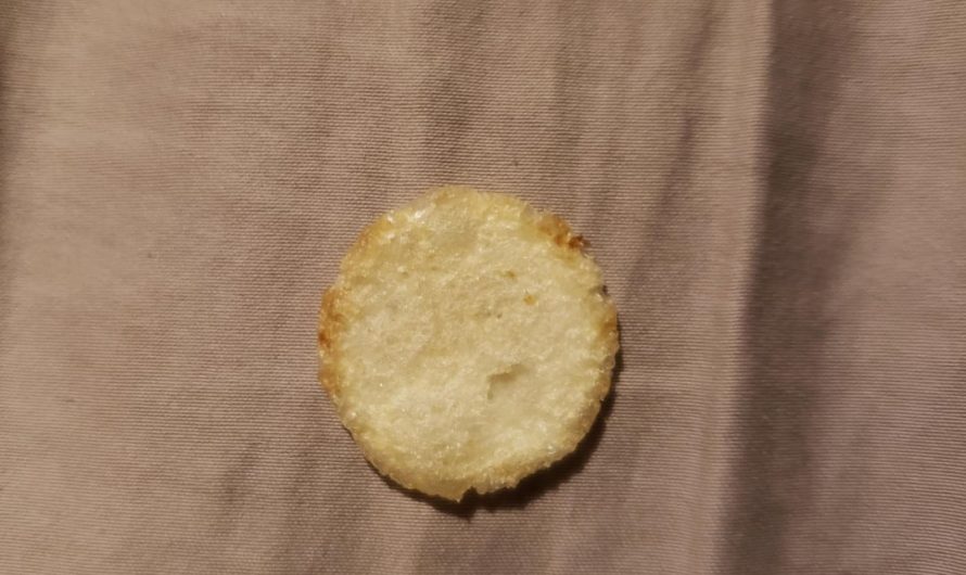 This chip is a perfect circle
