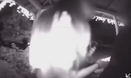 This couple opened their house to dozens of shoppers running from a mall shooting