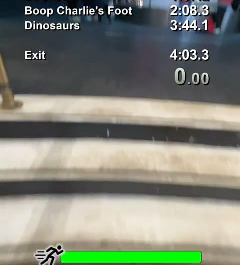 This guy doing a national history museum speedrun