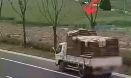 This help comes at the right time