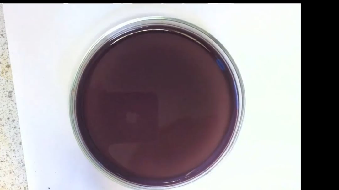 This is called the "Belousov-Zhabotinsky" reaction