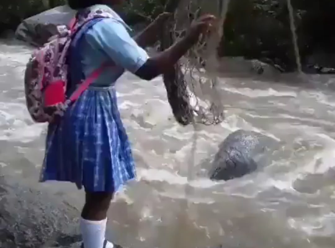 This is how this girl goes to school every day