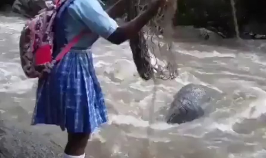 This is how this girl goes to school every day