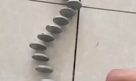 This is incredibly satisfying