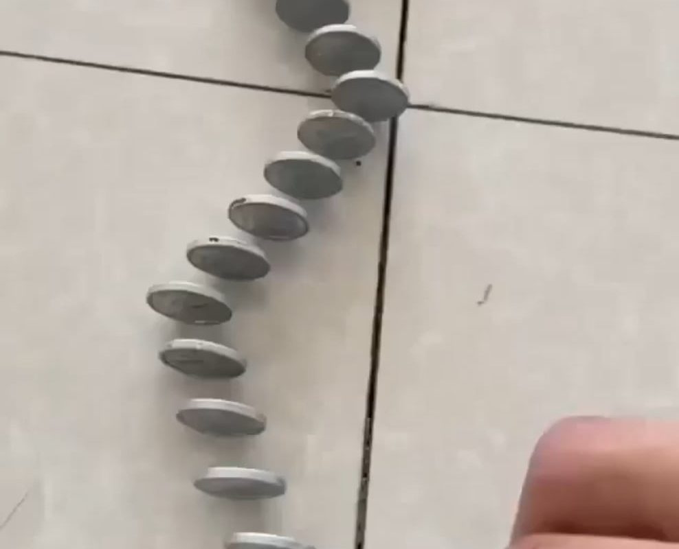 This is incredibly satisfying