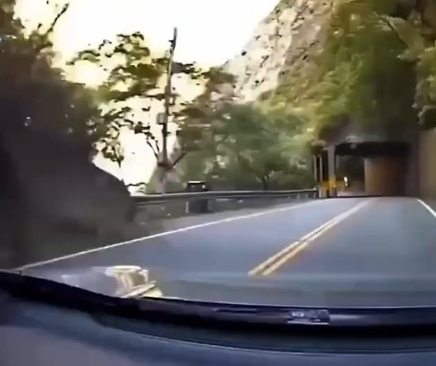 This is why rock shed tunnels are a thing