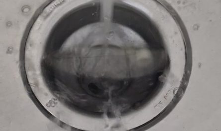 This lid in my drain.