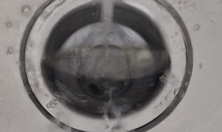 This lid in my drain.