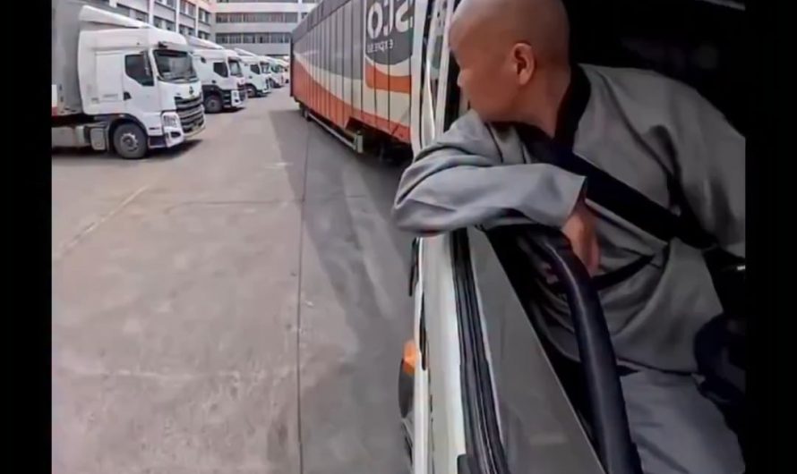 This man reversing a massive truck with just inches to spare and making it look effortless