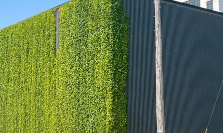 This massive wall of vines changing color