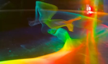 This might be one of the most beautiful videos I've ever seen on the internet.