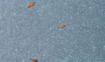 This pattern on our table after the rain (it was recently coated)