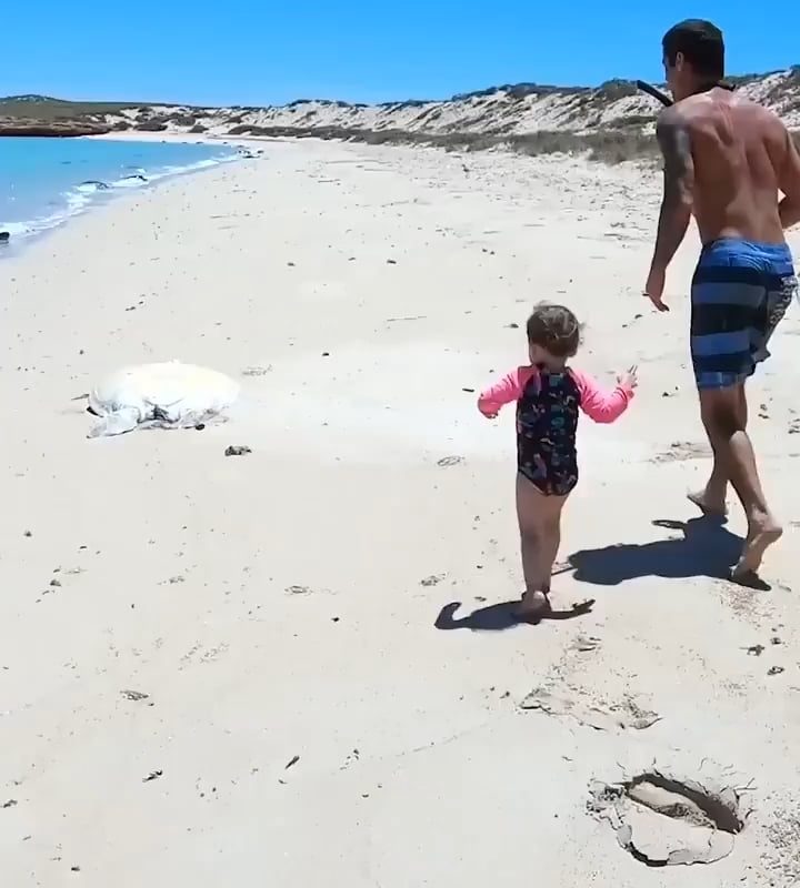 This turtle is rescued from a hopeless situation; her partner is already waiting for her. Very good job!