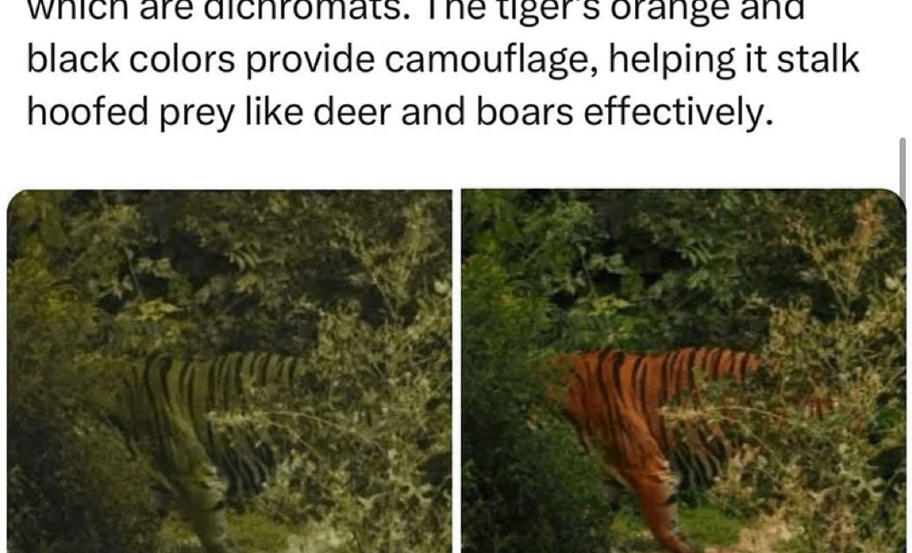 Tigers appear green to certain animals!
