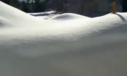 Timelapse of 48 hrs of snowfall it's so satisfying.
