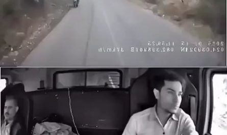 Truck driver's quick thinking and skill when the brakes completely gave out