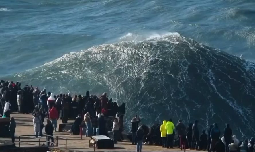 Unbelievable waves captured by photographer Ben Hartley at Nazaré, Portugal