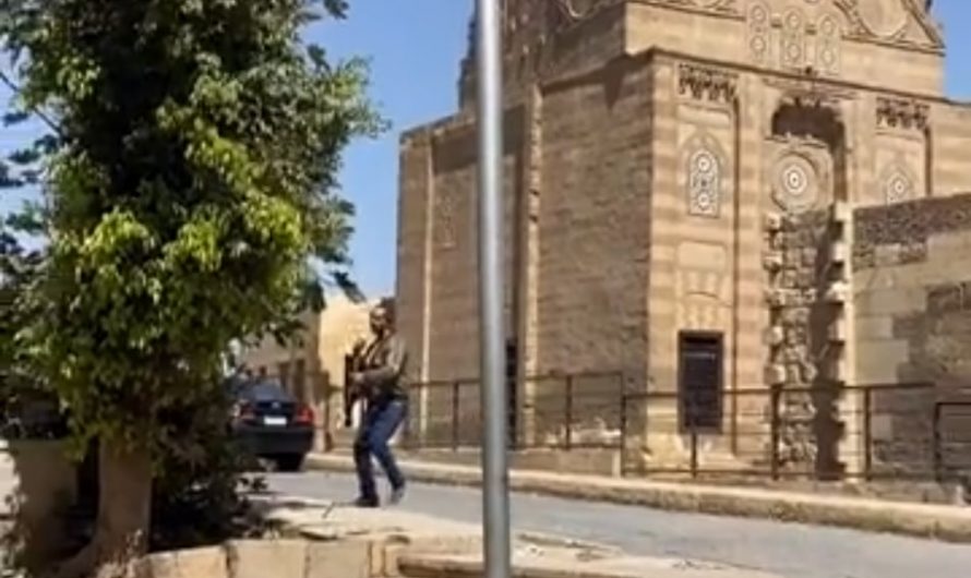Vaccinating street dogs via blow-dart in Egypt.