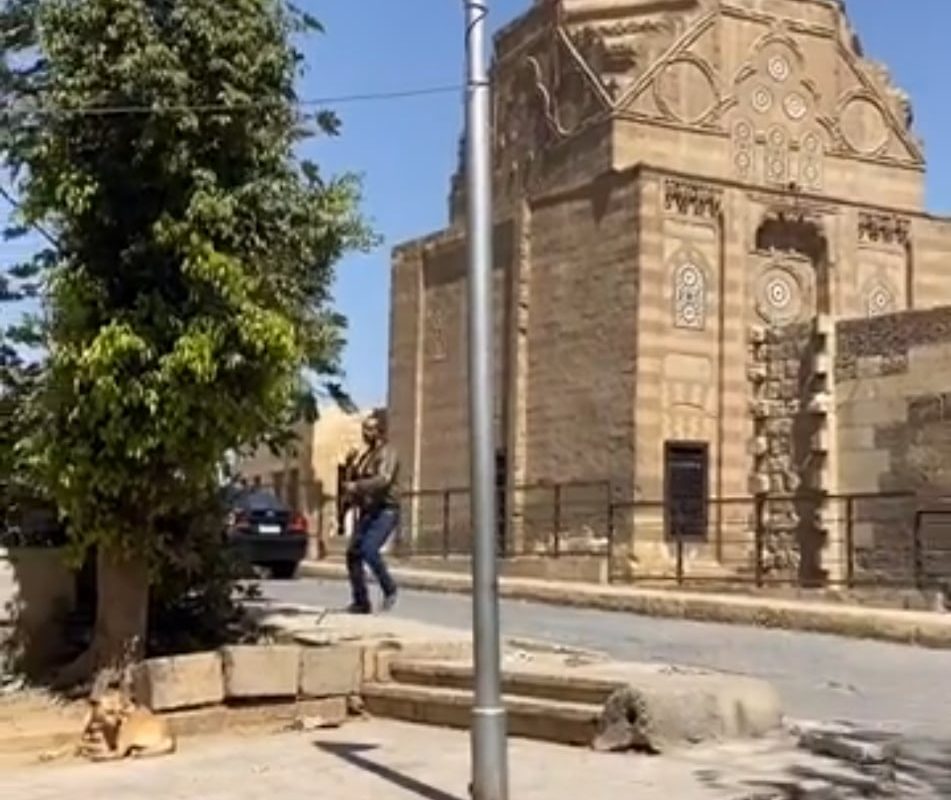 Vaccinating street dogs via blow-dart in Egypt.