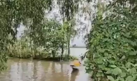 Vietnamese delivery via speedboats takes things to a whole new level