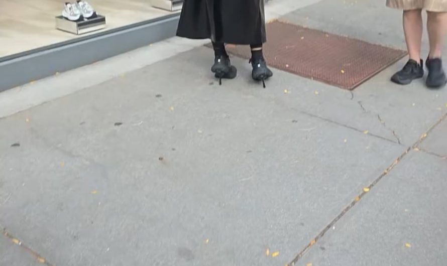 WHAT ARE THOOOOSE?!?!?😂