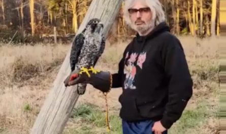 Want to see my eagle ?