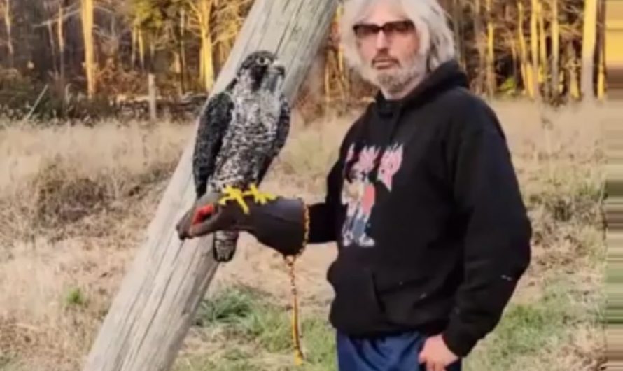 Want to see my eagle ?